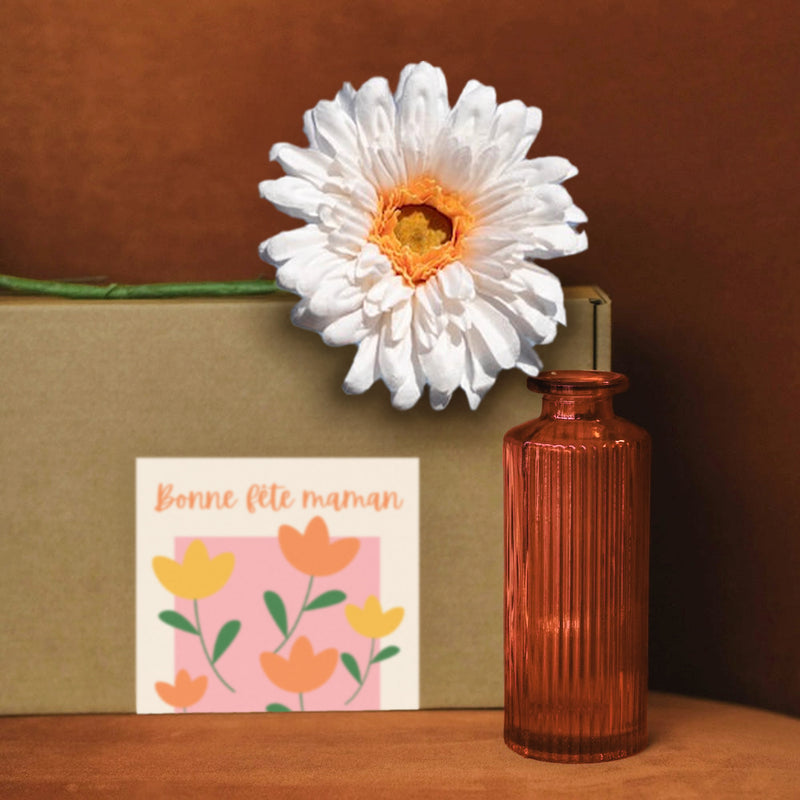 Mom Box Set