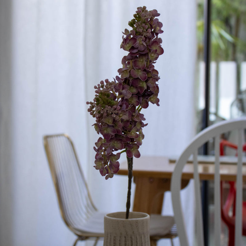 Violet Lilac Zweig