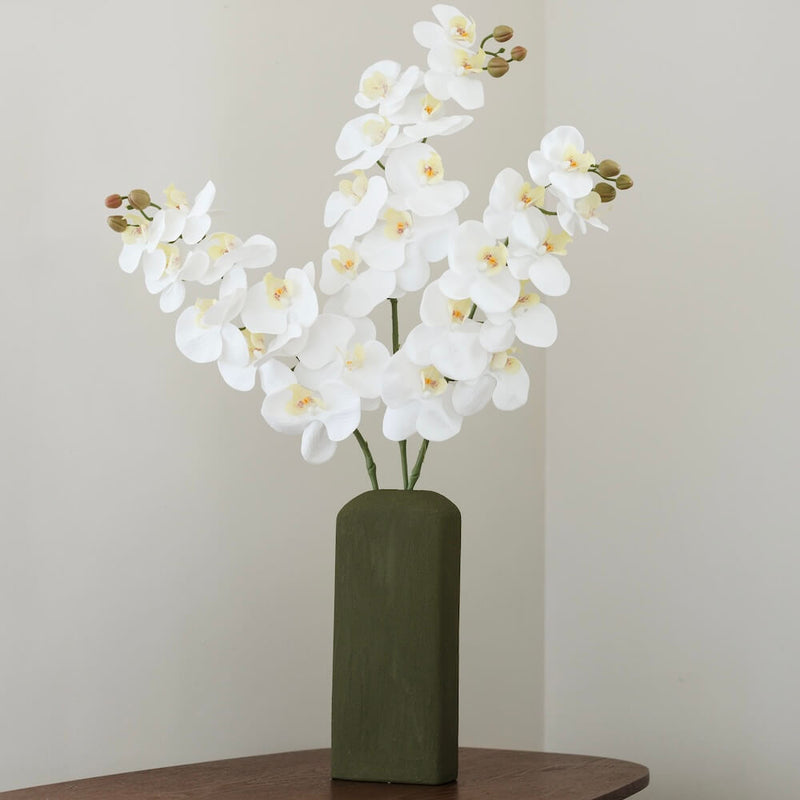 Weiße Orchidee