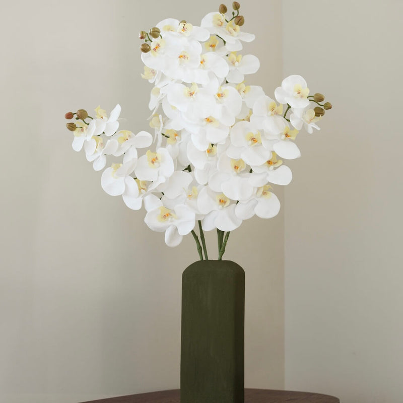 Weiße Orchidee