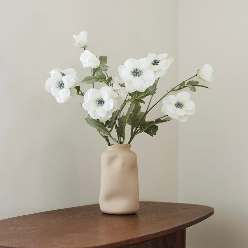 Weiße Anemone