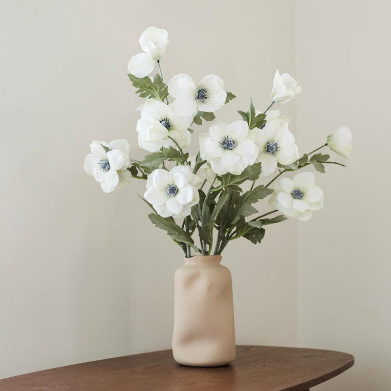 Weiße Anemone