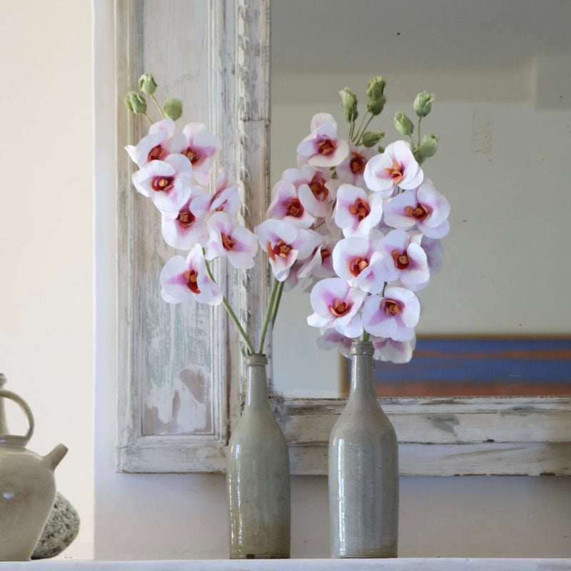 orchidee-papier
