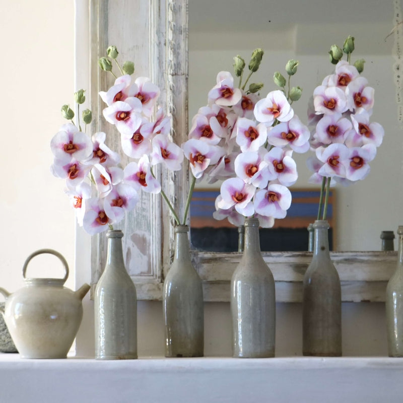 orchidee-papier