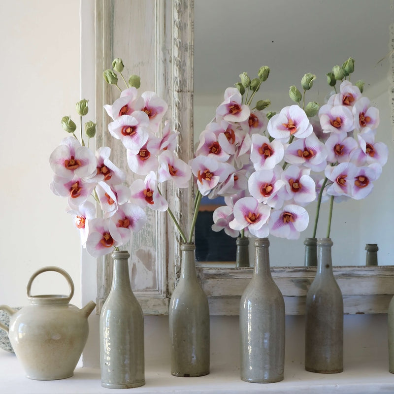 orchidee-papier
