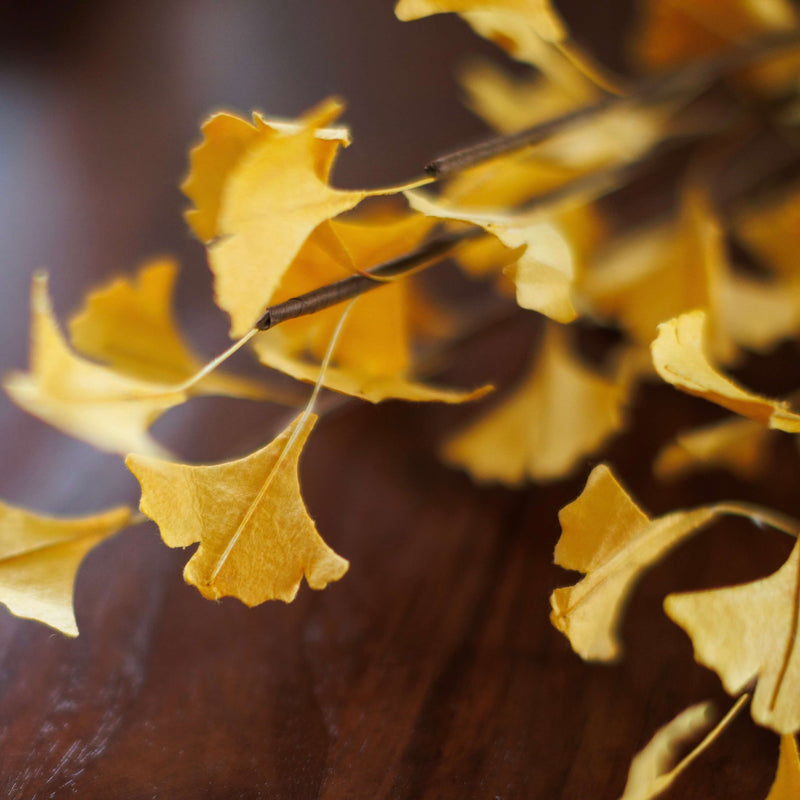gingko-en-papier