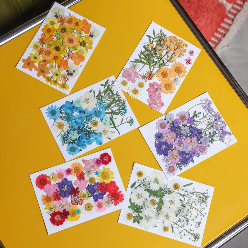 flowrette-fleurs-pressee-roses
