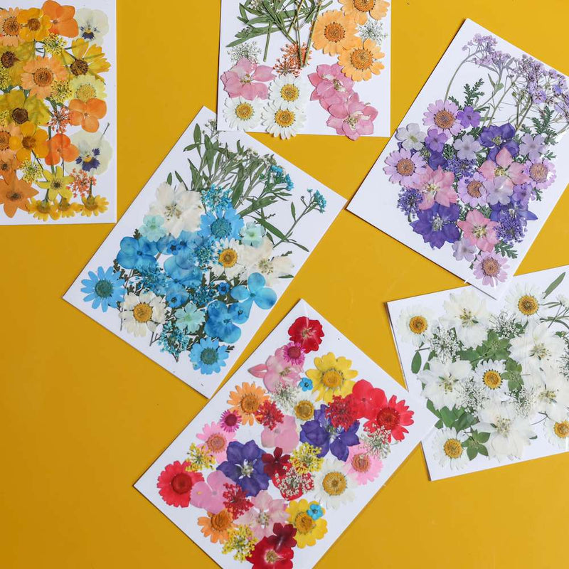 flowrette-fleurs-pressee-roses