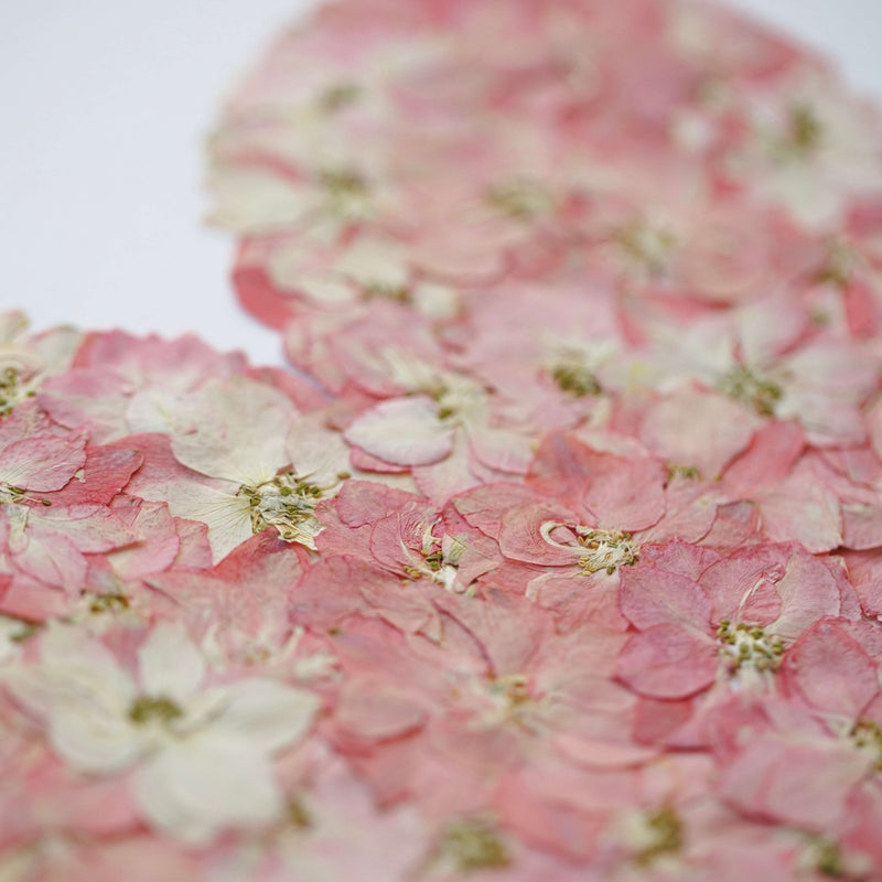 herbier-flowrette