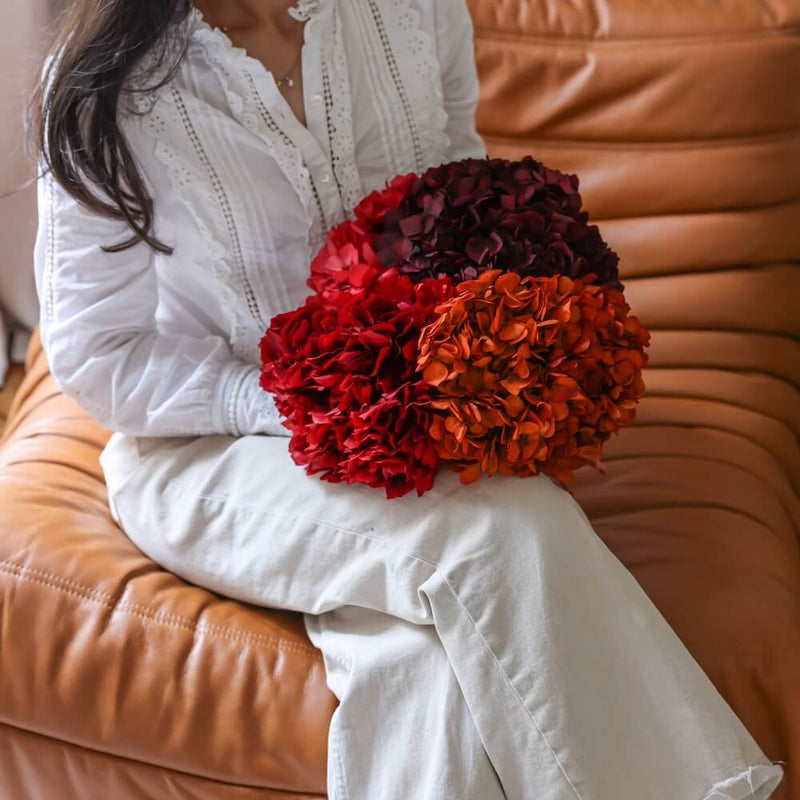 Hortensia Orange