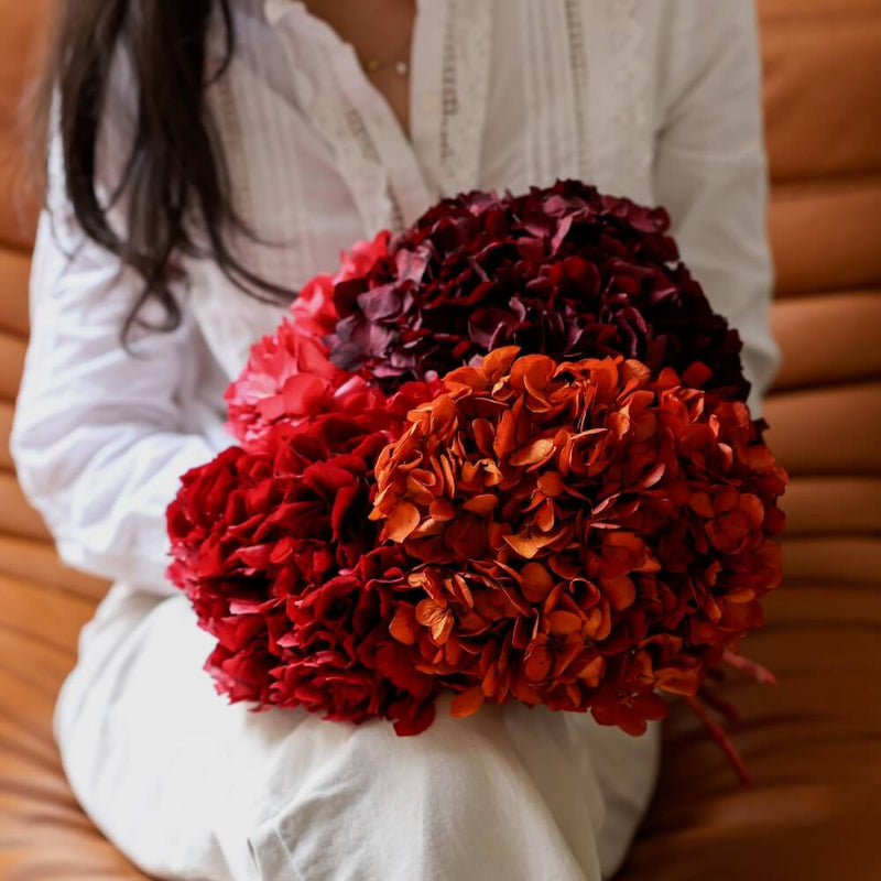 Hortensia Orange