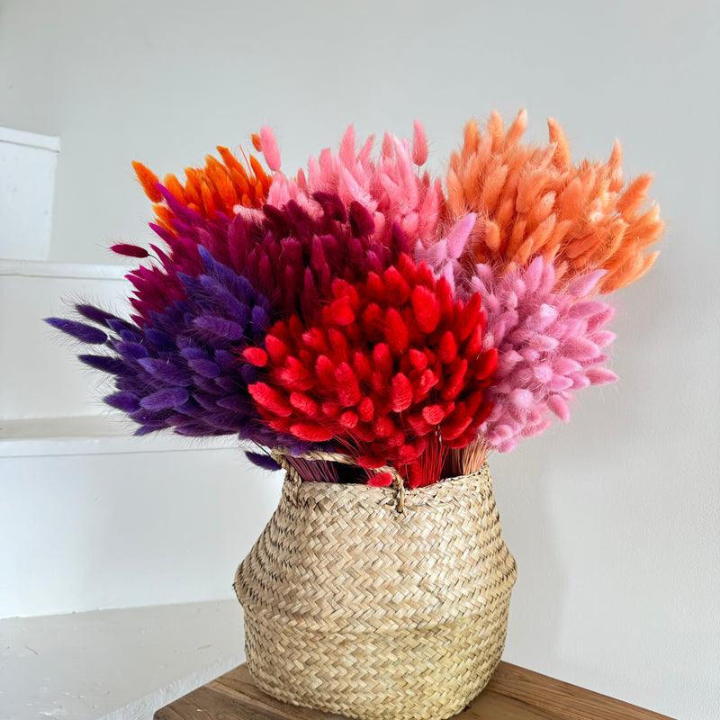 Botte fleurs séchées Lagurus Orange foncé