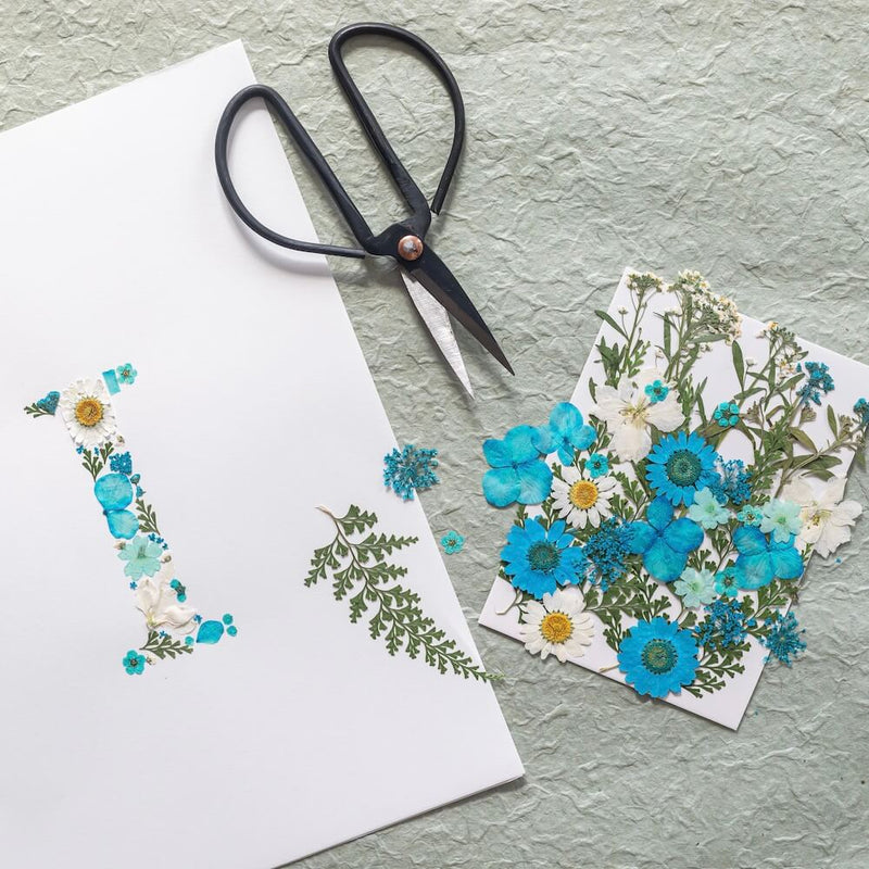 kit-diy-herbier-fleuris