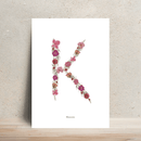 Affiche A4 herbier lettre rose