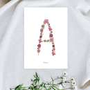 affiche-rose-herbier-lettre-alphabet-flowrette