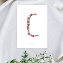 Affiche A5 herbier lettre rose
