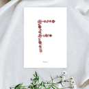 Affiche A5 herbier lettre rose