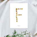 petite-affiche-jaune-herbier-lettre-alphabet