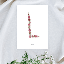 Affiche A5 herbier lettre rose