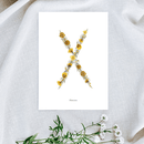 Affiche A5 herbier lettre jaune