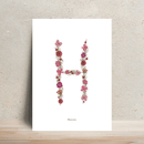 Affiche A4 herbier lettre rose