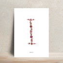 Affiche A4 herbier lettre rose