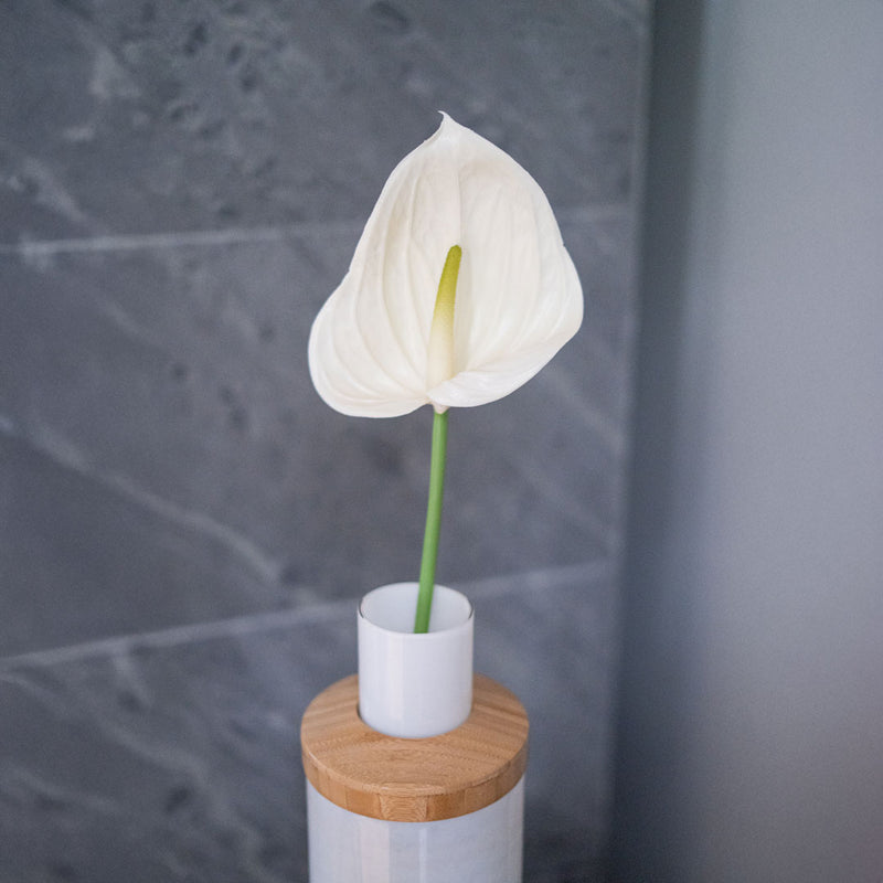 Flowrette-Kunstblumen. Anthurium-Flowrette-Creme