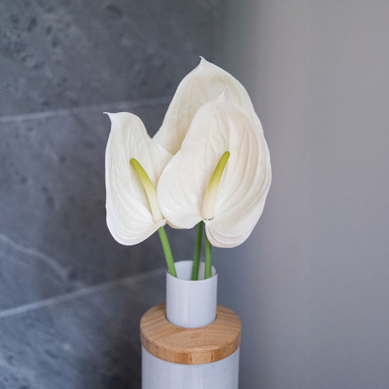 Flowrette-Kunstblumen. Anthurium-Flowrette-Creme