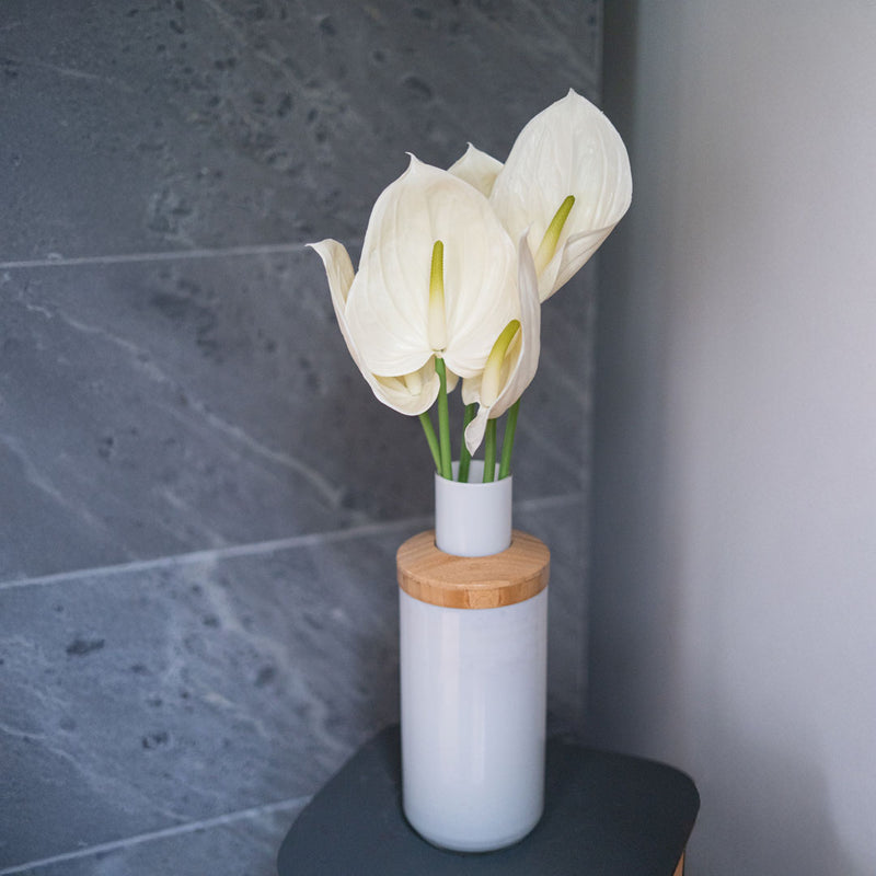 Flowrette-Kunstblumen. Anthurium-Flowrette-Creme