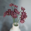 Lila Papier Astrance