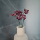 Lila Papier Astrance