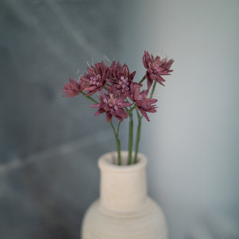 Lila Papier Astrance