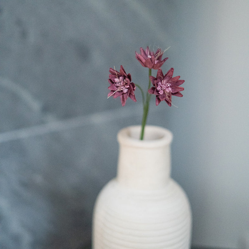 Lila Papier Astrance