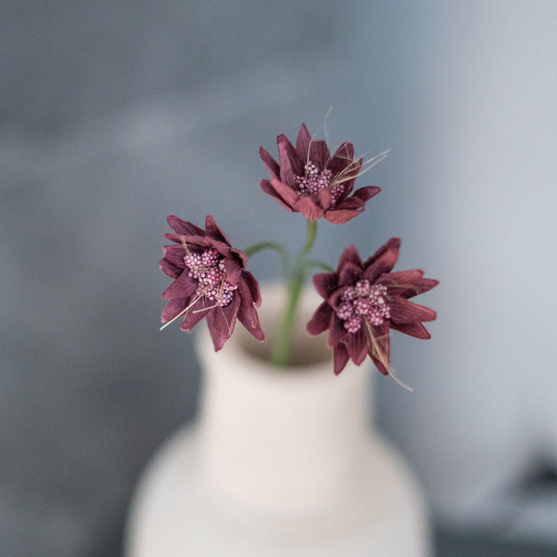 Lila Papier Astrance