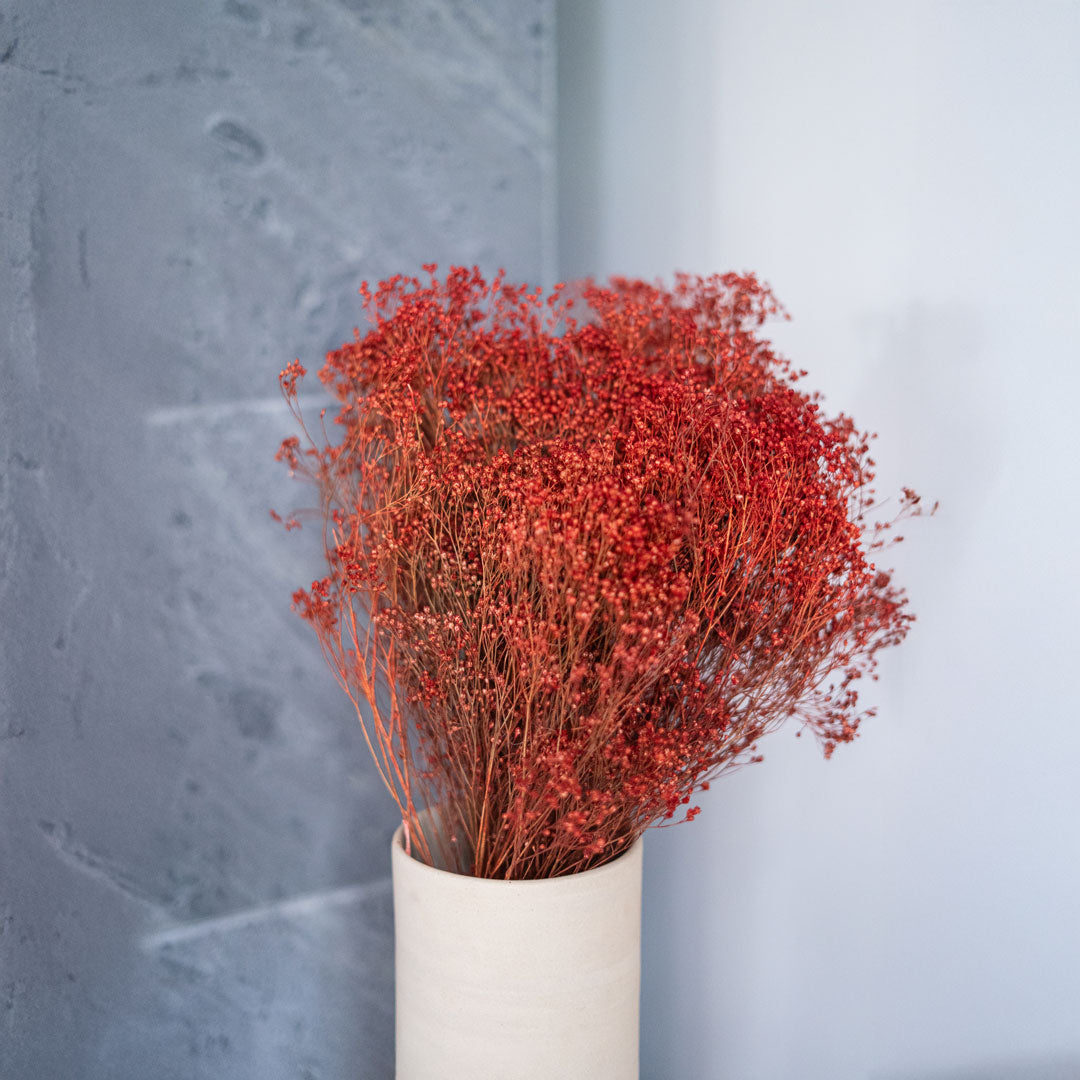 Besen Bloom Rouille Boot