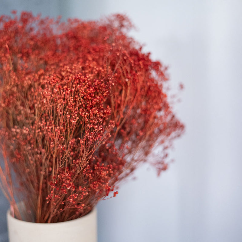 Besen Bloom Rouille Boot