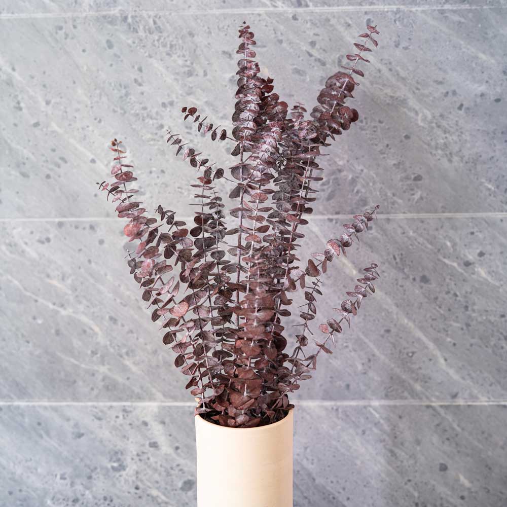 Eukalyptus Baby Bordeaux Boot