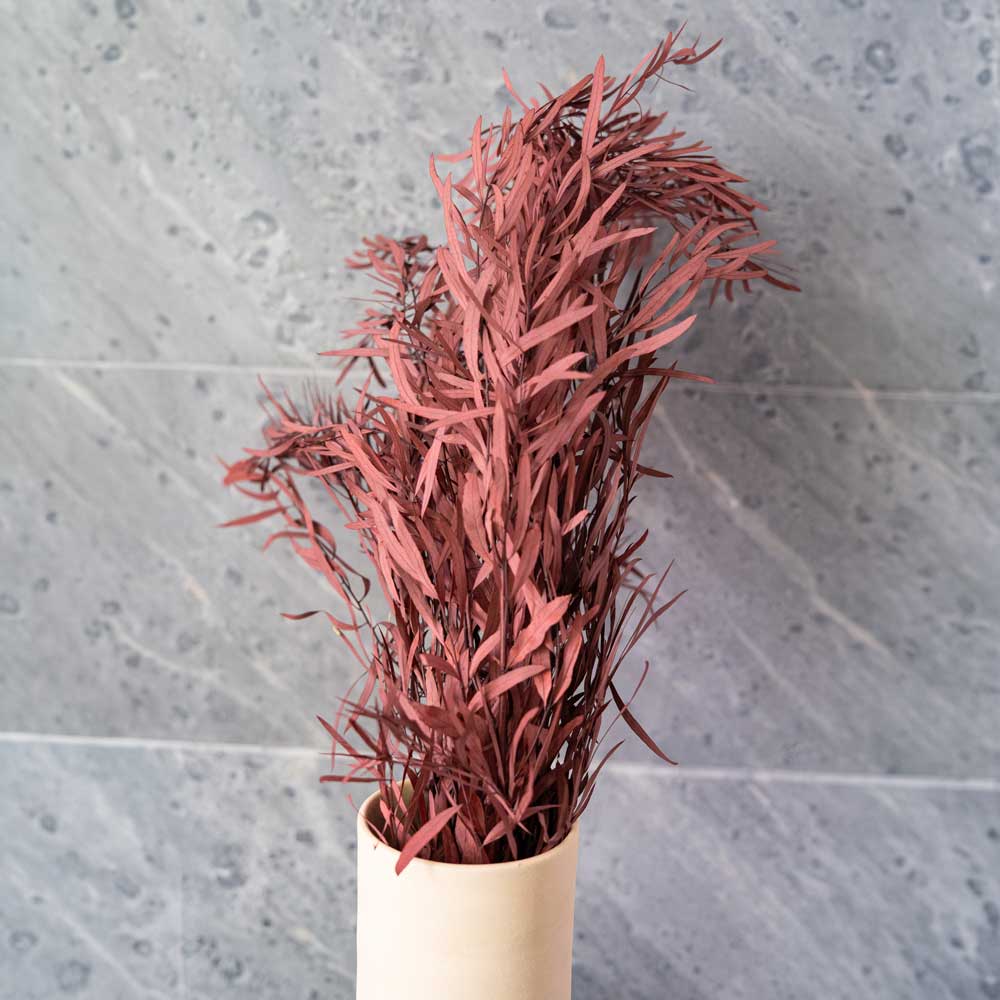 Eukalyptus Boot Nicoli Rouge