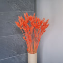 Lagurus Orange Stiefel