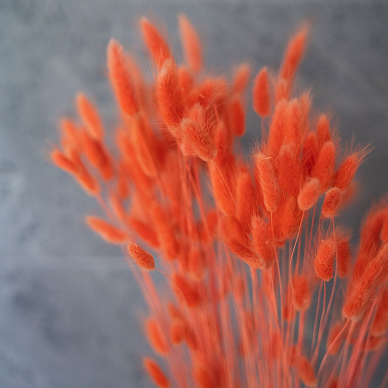 Lagurus Orange Stiefel