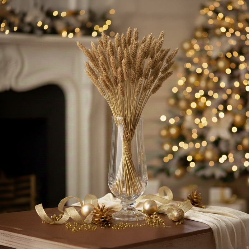 Phalaris-Stiefel Gold