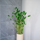 Grüner Phalaris Boot