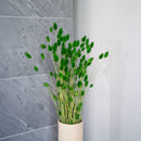 Grüner Phalaris Boot