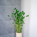 Grüner Phalaris Boot