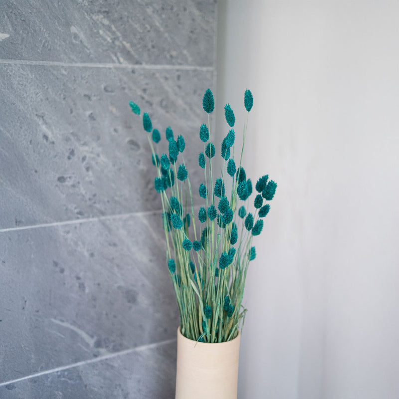 Smaragdgrüner Phalaris Boot