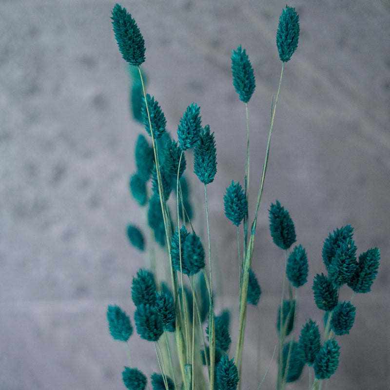 Smaragdgrüner Phalaris Boot