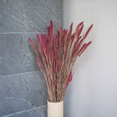 Sétaire Pink Stiefel