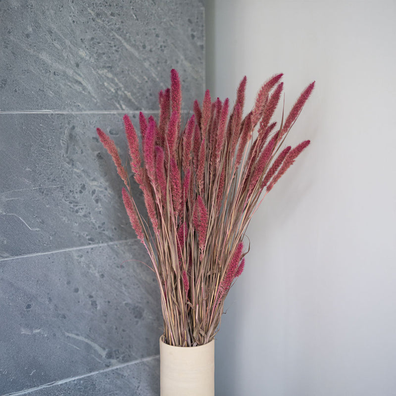 Sétaire Pink Stiefel