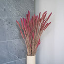 Sétaire Pink Stiefel