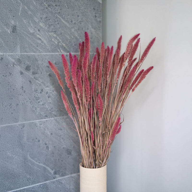 Sétaire Pink Stiefel